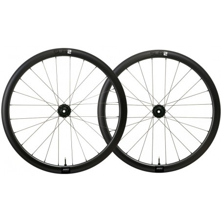 Giant Slr 2 36 Disc Tubeless Par Ruedas