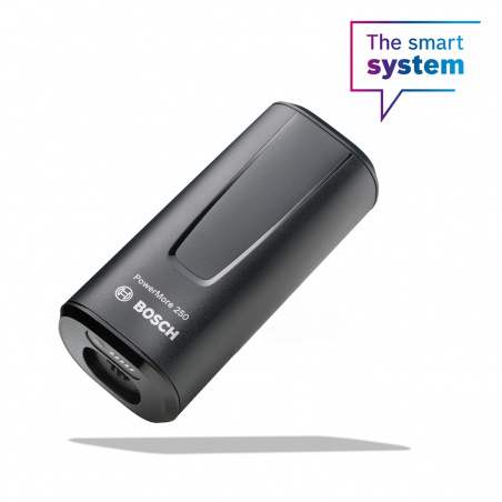 Bosch Powermore 250wh batería extender