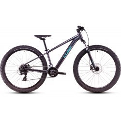 Cube Acid 260 Disc 2025