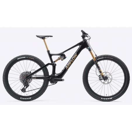 Amflow PL Carbon Pro 800wh