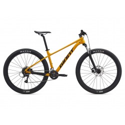 Giant Talon 3 2026