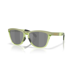 Oakley Frogskins Range XL matte fern/transparent fern Lente prizm black