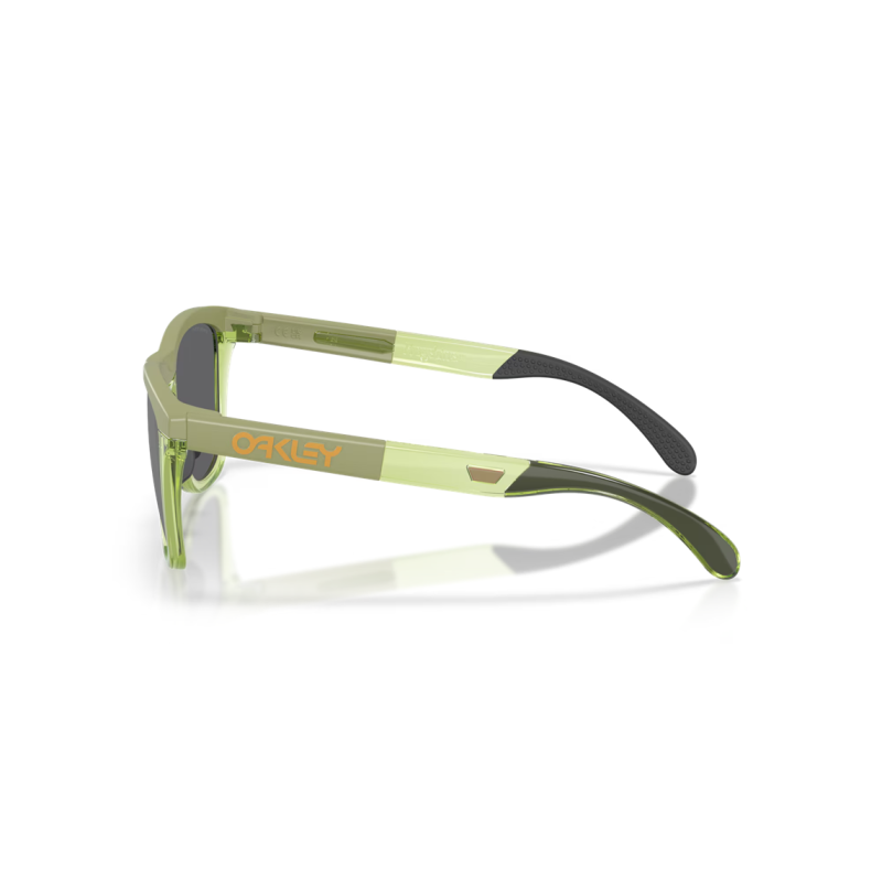 Oakley Frogskins Range XL matte fern/transparent fern Lente prizm black