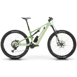 Megamo Native 05 2024 - envío 24h - mejores precios