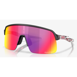 Oakley Sutro Lite Troy Lee Designs Series lentes Prizm Road 9463B7