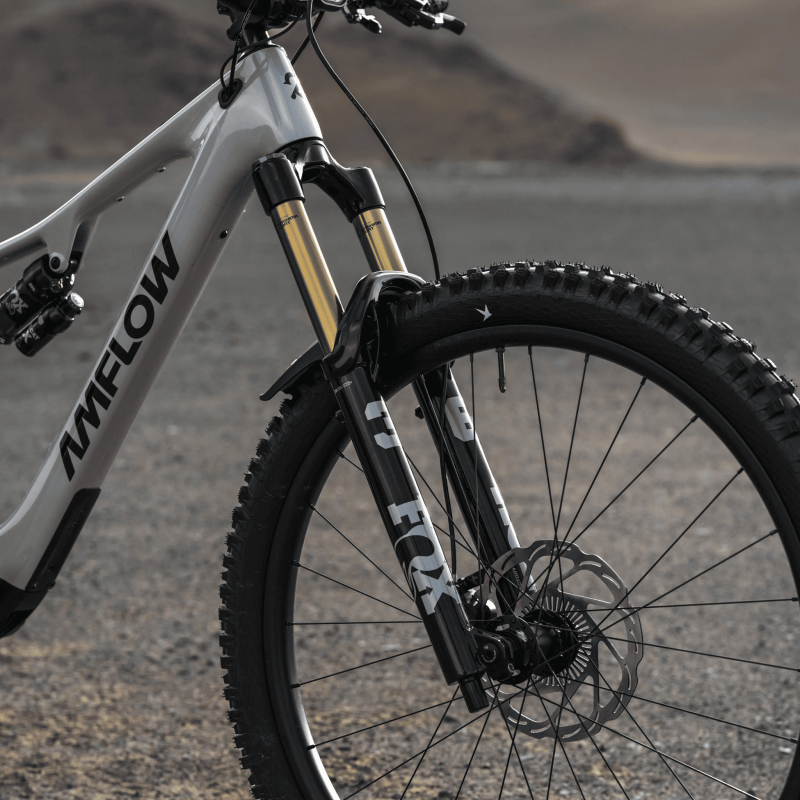 Amflow PX Carbon Pro 2027 | eBike Carbono 150Nm Trail-Enduro
