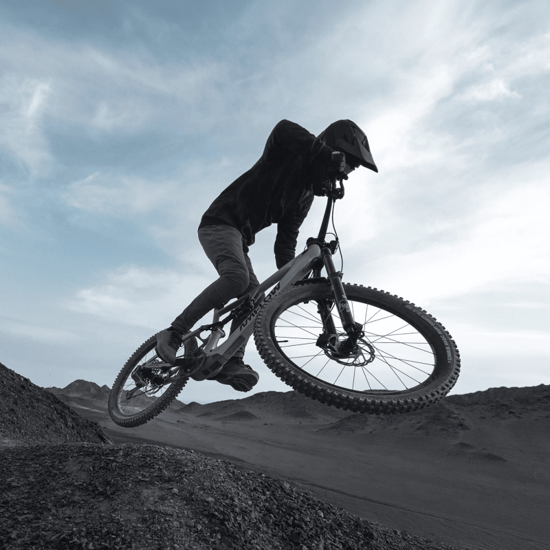 Amflow PX Carbon Pro 2027 | eBike Carbono 150Nm Trail-Enduro