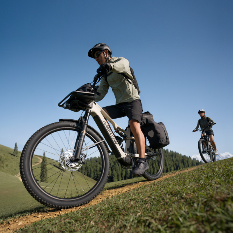 Amflow TL Carbon 800Wh 2027 | eBike Avinox 125 Nm
