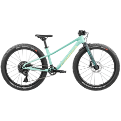 Orbea Kimu 24 H10 2027 | Bicicleta Infantil MTB 24" - Envío 24h