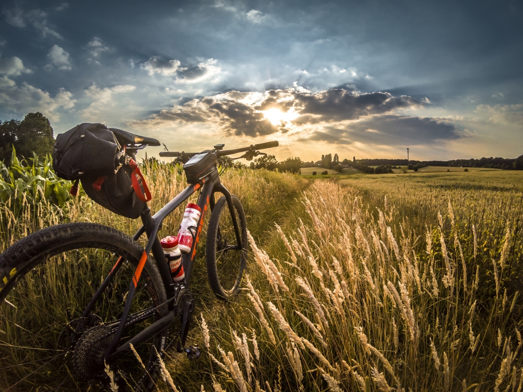 elegir una bicicleta de montaña – Pedalmoto Blog