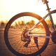 26", 27,5" o 29": ¿qué tamaño de ruedas de bicicleta elijo?