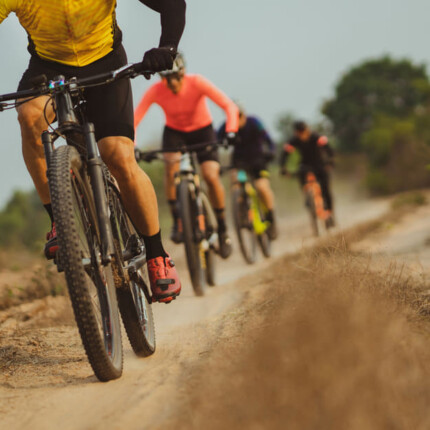 Descubre cuáles son las mejores bicicletas de montaña en 2025